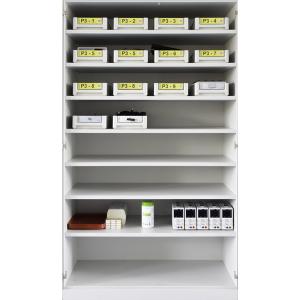 Riedenburger Modele Physique 3, 5 groupes
