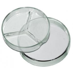 Petri dish Glass 1/3 Division 100mm