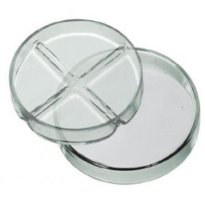 Petri dish Glass 1/4 Division 100mm