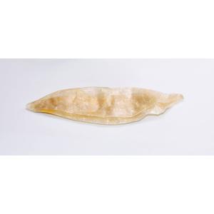 Vessie de porc, 10 pièces idéale comme membrane semi-perméable pour les expériences avec l'appareil d'osmose 662404