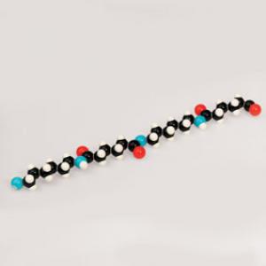 Polypeptide, Molecular Model Kit