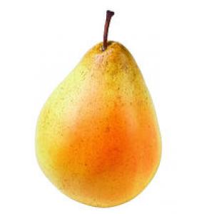 Poire Köstliche v.  Charneu / SUR DEMANDE
