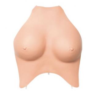 CLA 231 Paroi thoracique de femme - couleur noire - pour CLA 1/2/3/1+8