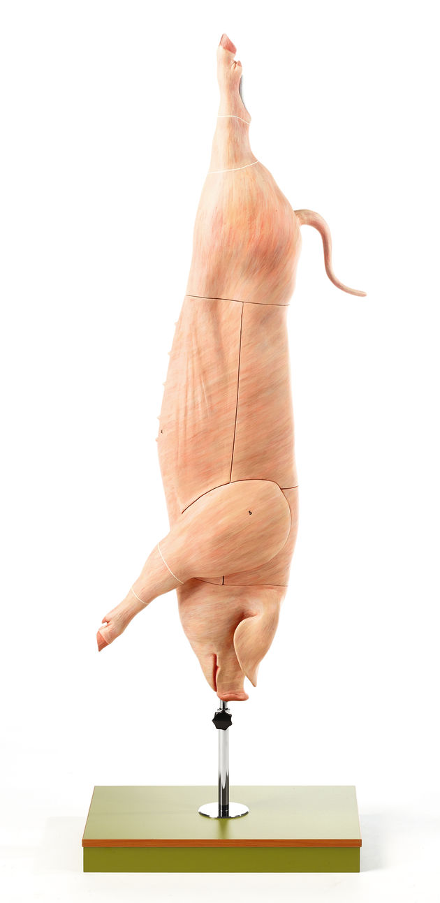 Quartier de porc / SUR DEMANDE Hauteur 119 cm, Largeur 38 cm, Profondeur 38 cm, Poids 7,5 kg