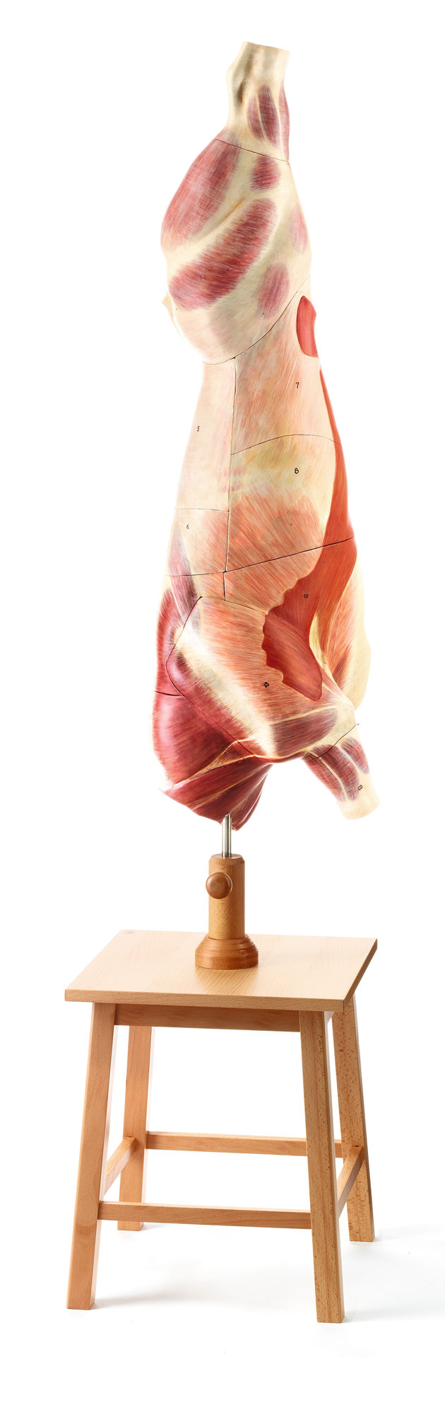 Quartier de boeuf / SUR DEMANDE Hauteur 190 cm, Largeur 45 cm, Profondeur 43 cm, Poids 15,5 kg